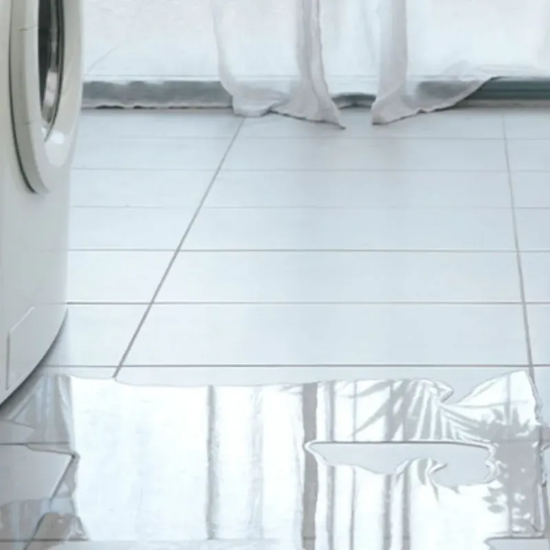 Appliance Leak Cleanup in Isle of Normandy, FL