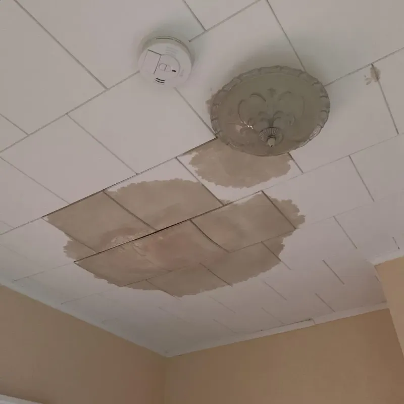 Ceiling Water Damage Repair in Isle of Normandy, FL