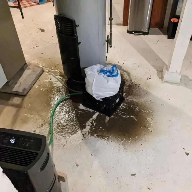 Sewage Backup Cleanup Service in Isle of Normandy, FL